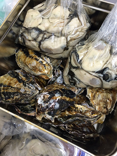 牡蠣_400