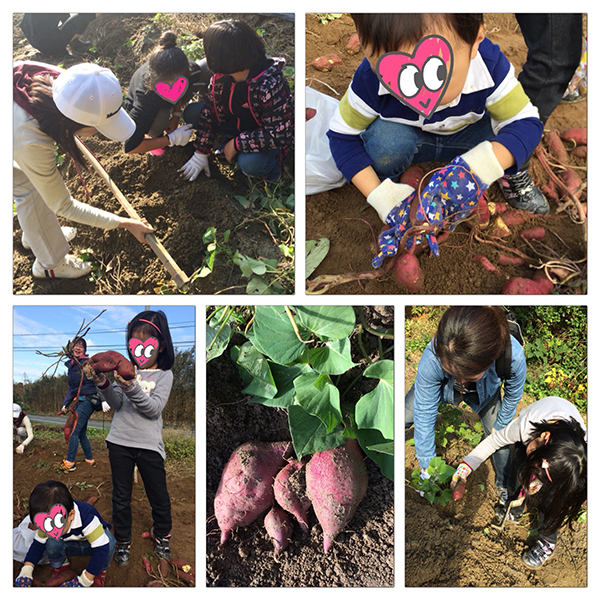 %e8%8a%8b%e6%8e%98%e3%82%8a_600